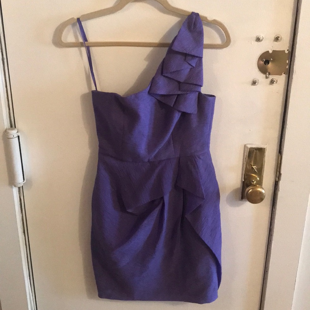 Purple BCBG Party Dress with Pockets!